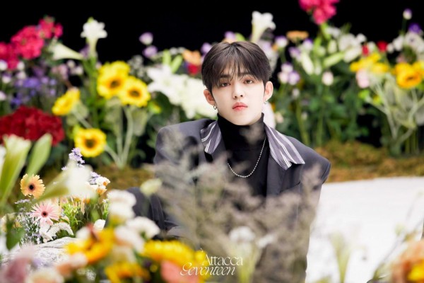 S. Coups SEVENTEEN Hiatus Sementara