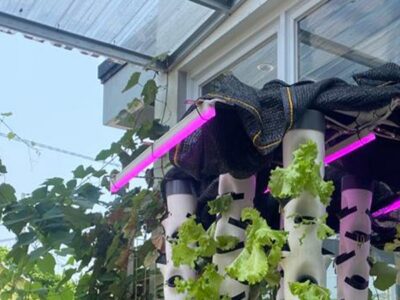 Integrated Smart Vertical Hydroponic Farming