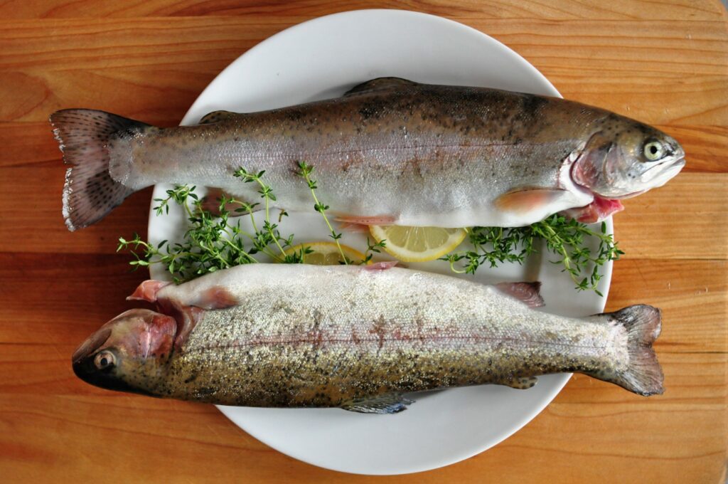 Ikan Trout